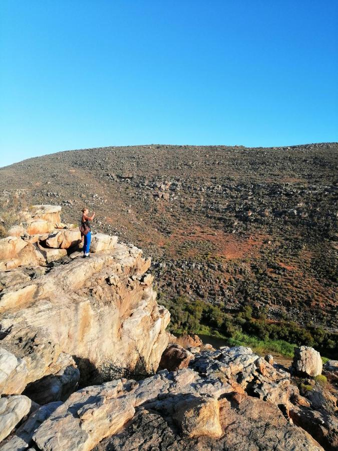 Oudrif Farm Villa Clanwilliam Eksteriør billede