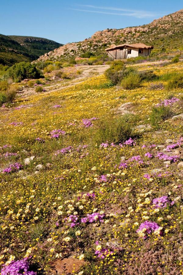 Oudrif Farm Villa Clanwilliam Eksteriør billede