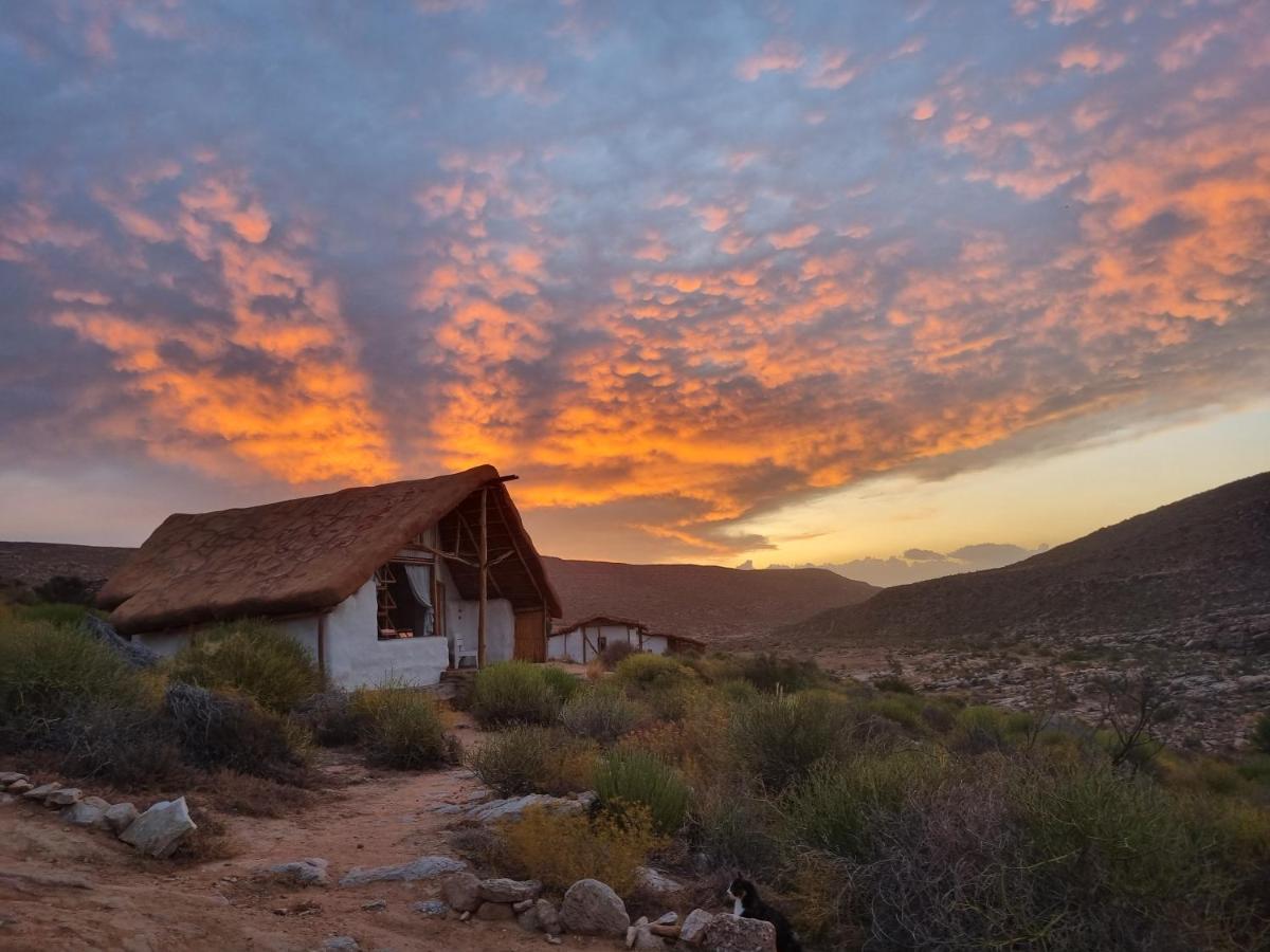 Oudrif Farm Villa Clanwilliam Eksteriør billede